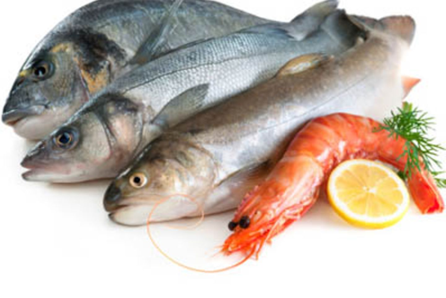 Fische und Meerestiere enthalten Selen