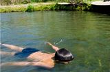 Mischt sich das heiße Wasser der Geysire mit dem eiskalten Wasser der Bergflüsse, entsteht eine angenehme Badetemperatur, in der Mark gerne ausgiebig schwimmt und "abtaucht".