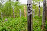 Pfähle für die Verstorbenen: Itelmenen begraben traditionell ihre Verstorbenen im Wald und setzen als Gedenken an den Verstorbenen einen Holzpfahl.