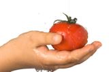 10 Haushaltsaufgaben für Kinder: Hand mit Tomate