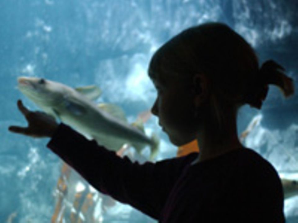 Foto: Sea Life Deutschland Foto: Sea Life Deutschland