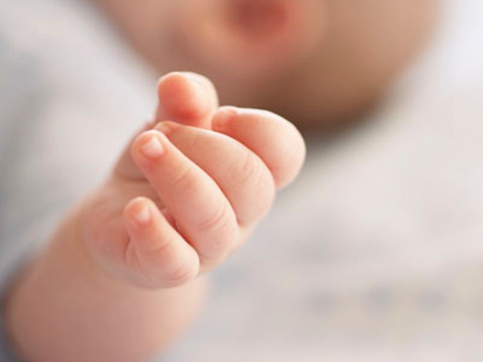 Baby-Wissen kompakt: Basiswissen für den Start mit Baby