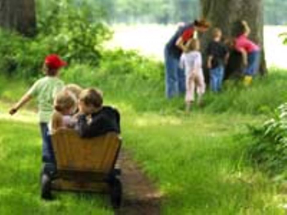 Kindergärten: Kindergarten auf dem Bauernhof Kindergärten: Kindergarten auf dem Bauernhof