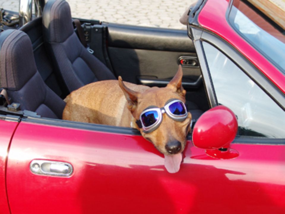 Wie verhält sich deine Partnerin auf dem Beifahrersitz? Eltern.de