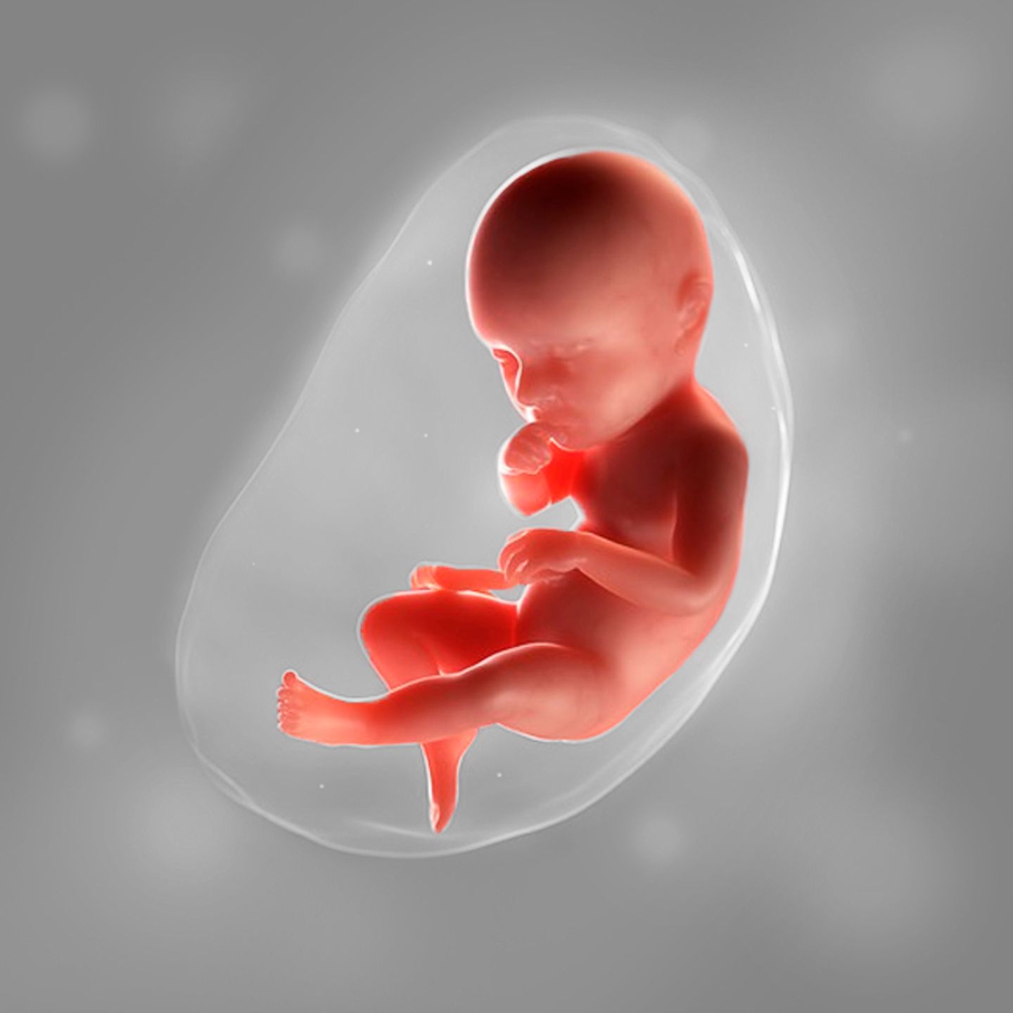 39 schwanger werden mit Späte Schwangerschaft: