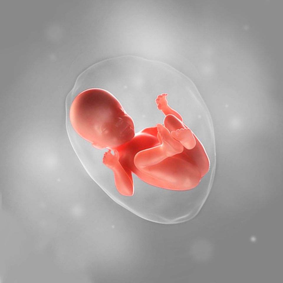 28 Ssw Harter Bauch Druck Nach Unten 28. Schwangerschaftswoche (28. SSW): Alle Infos | Eltern.de