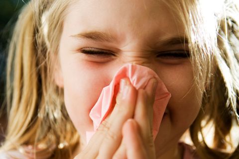 Infekte: Oft Schnupfen macht Kinder stark