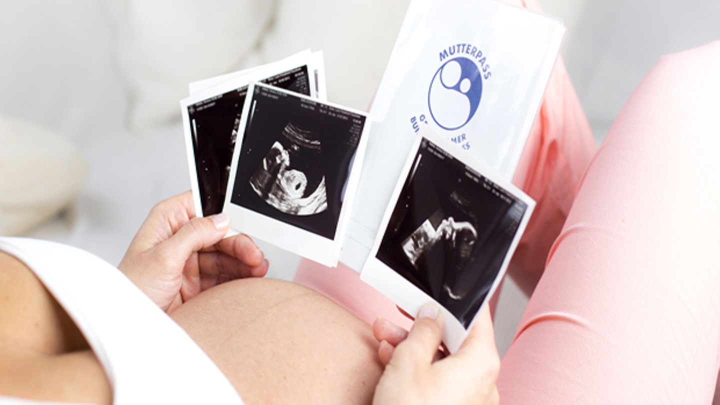 Mutterpass Schwangerschaft Baby Mutterschaft Schwanger original & Neu 