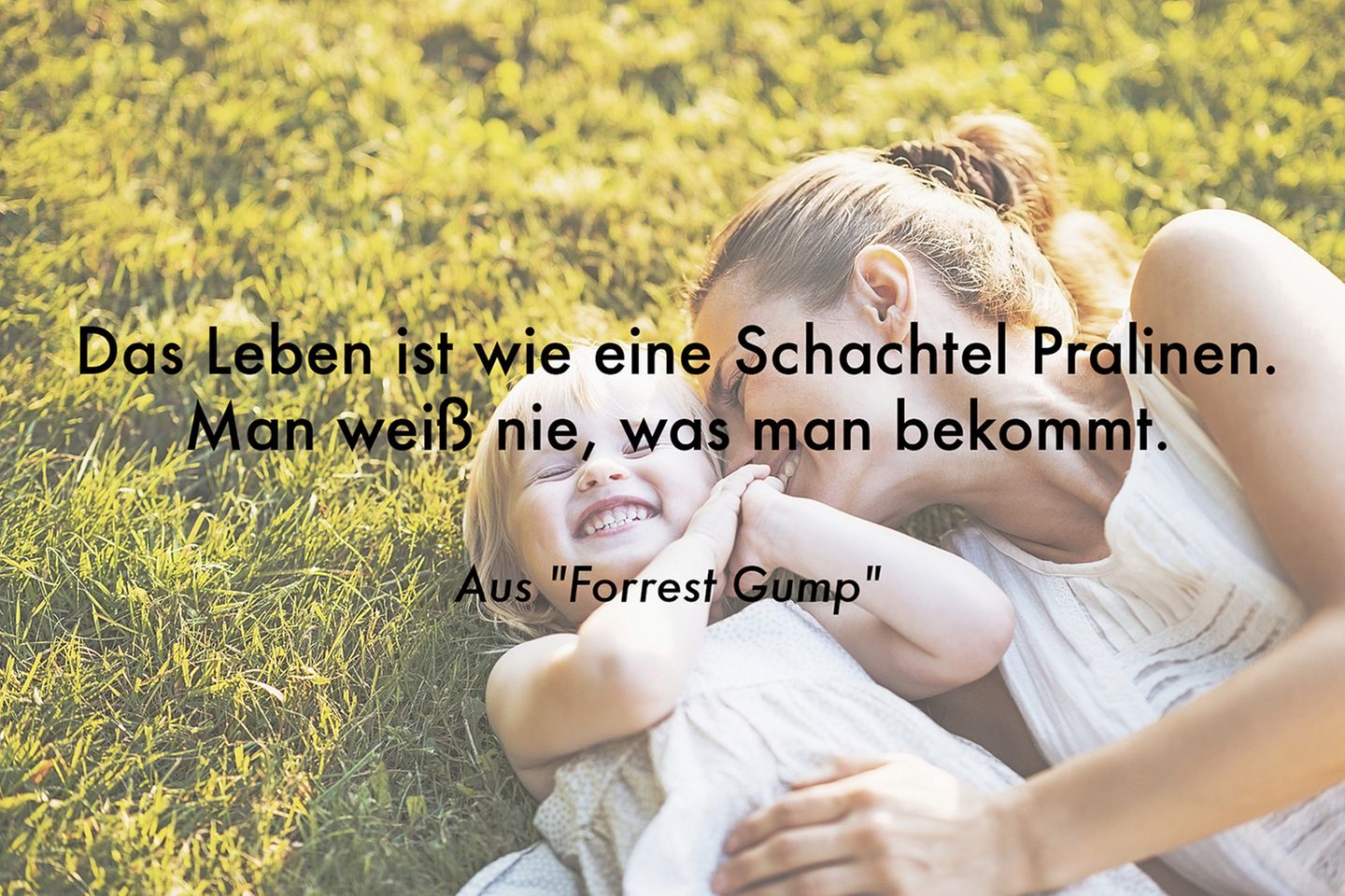 Das_Leben_ist_wie_eine_Schachtel_.jpg (26376) Eltern.de
