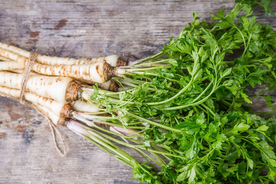 Petersilienwurzel | Eltern.de