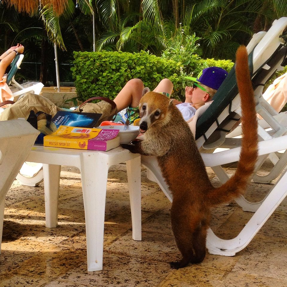 Reise: Fast unbemerkt im Paradies – Familienreise nach Mexiko, Woche 1 Reise: Fast unbemerkt im Paradies – Familienreise nach Mexiko, Woche 1
