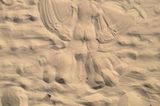 Bei jedem Strandbesuch musste ein Sand-Engel her. Meine Tochter ruderte fleißig mit den Armen und Beinen und bestaunte ihren schönen Körperabdruck jedesmal.