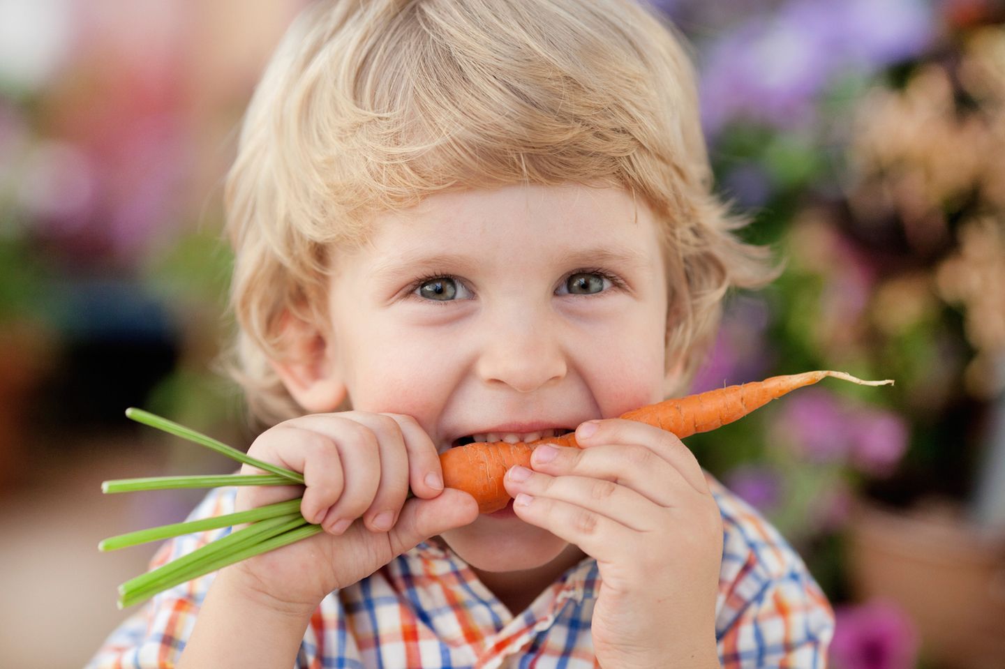 Kind mit Karotten in Mund, schaut in Kamera