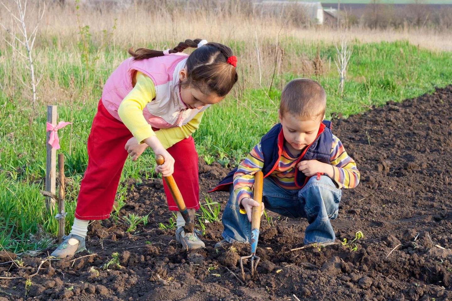 Junge und Mädchen bei der Gartenarbeit/ Feldarbeit im Acker