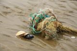 das wir während des Tages am Ostseestrand gefunden haben, zum Beispiel eine flache Muschel, etwas Holz und ein paar Fasern vom Fischernetz.