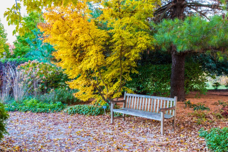 AUSFLUGSTIPPS FÜR DIE FAMILIE IN Sachsen Botanischer Garten Chemnitz