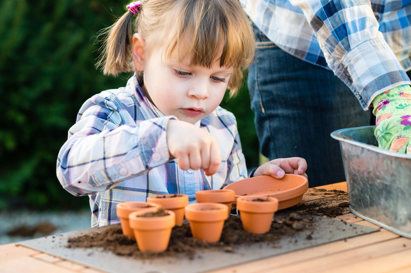 Mädchen pflanzt Samen in kleine Töpfchen