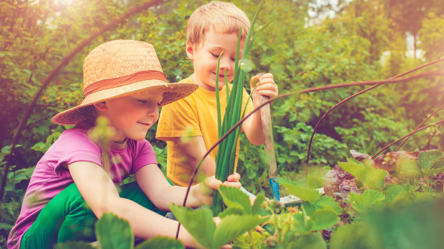 Gärtnern mit Kindern: Welche Pflanzen eignen sich am besten? | Eltern.de