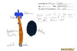 Ihr habt riesigen Hunger, aber das Essen ist einfach noch zu heiß?   Dann werdet Ihr die Erfindung der 6-jährigen Ameliya Liddle lieben!   Die Kleine entwarf nämlich eine Mischung aus Gabel und Föhn, welche mittels kühler Luft Eure Mahlzeiten auf eine angenehme Ess-Temperatur abkühlt.