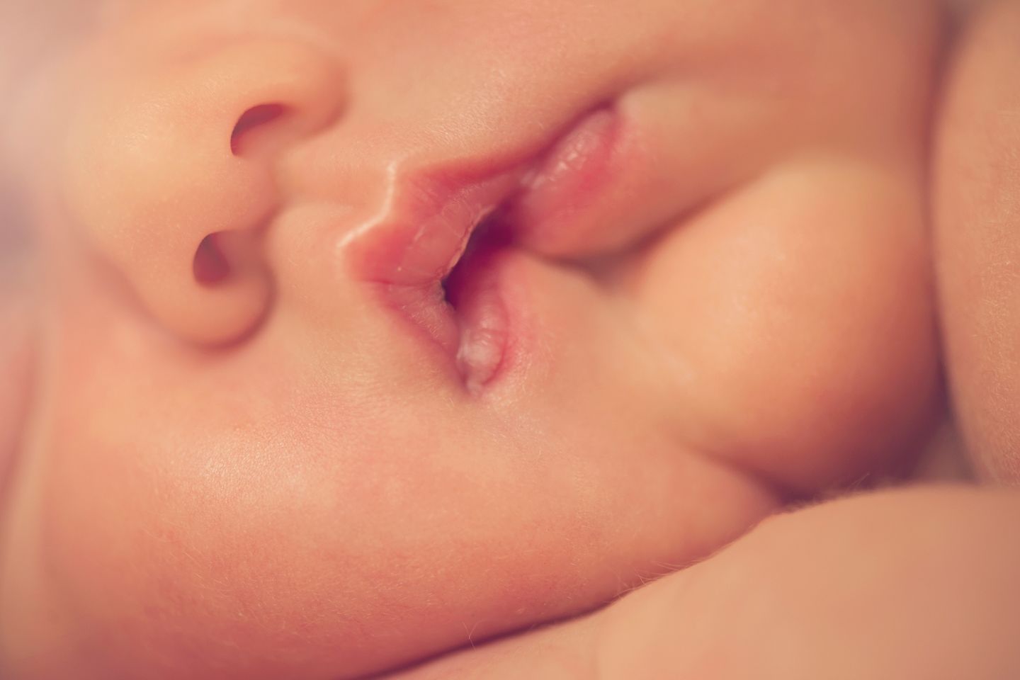 Половые губы новорождённой
