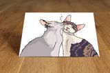 Postkarte Katzenküsschen