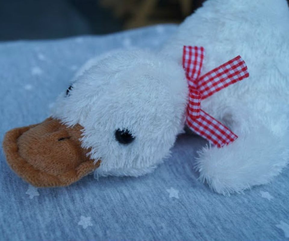 Blog Küstenkidsunterwegs Küstenmini