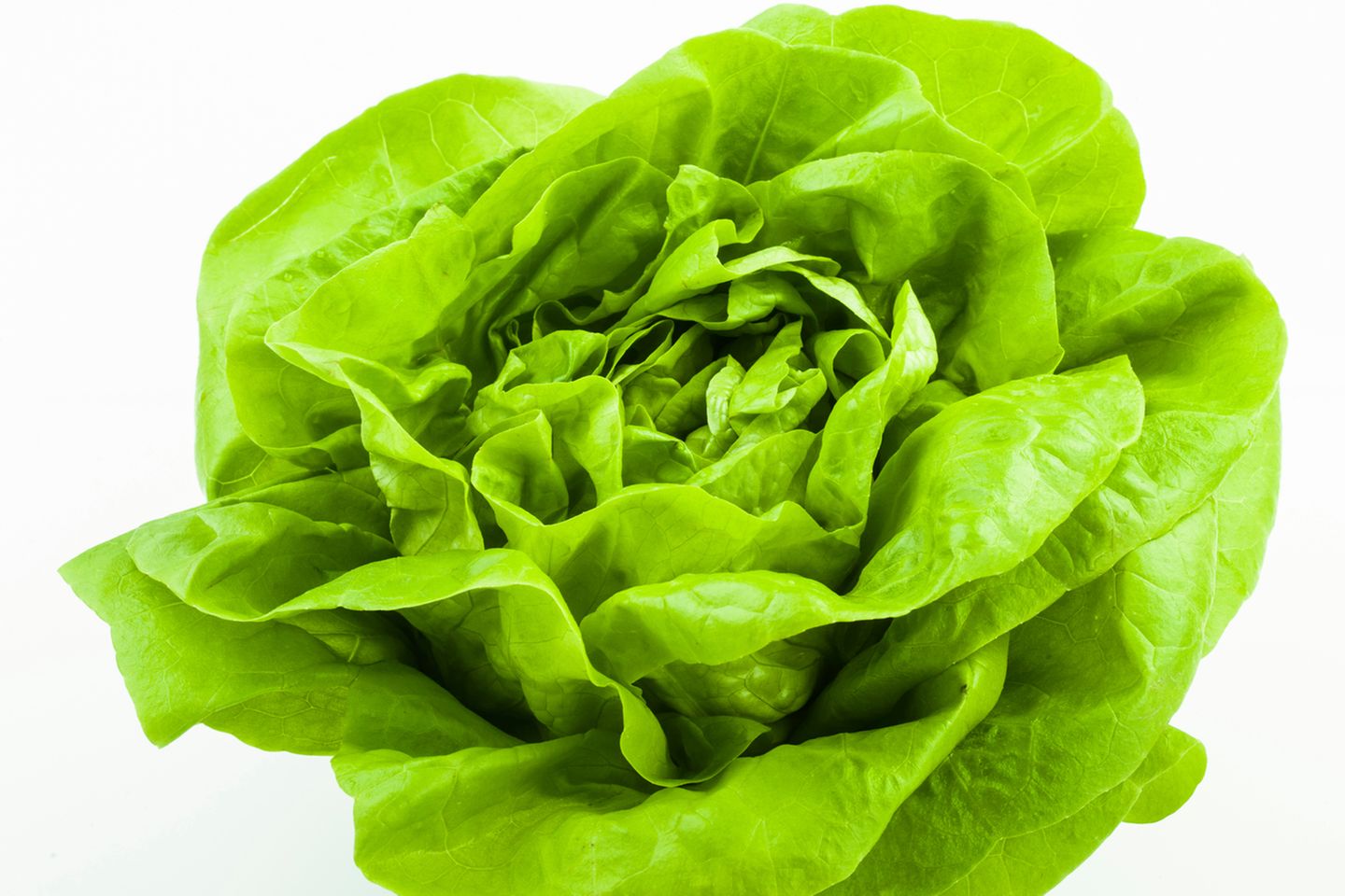 Kopfsalat ist ein perfekter Lieferant für Vitamin C, Vitamin E, Eisen, Magnesium und Folsäure. Das beste daran: Er kann gleich mit einer ganzen Reihe anderer gesunder Gemüsesorten kombiniert werden.