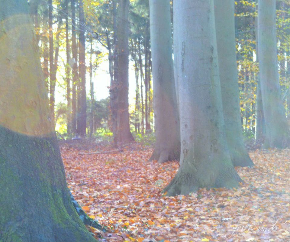 Blog JesSi Ca feierSun.de Ich bin müde