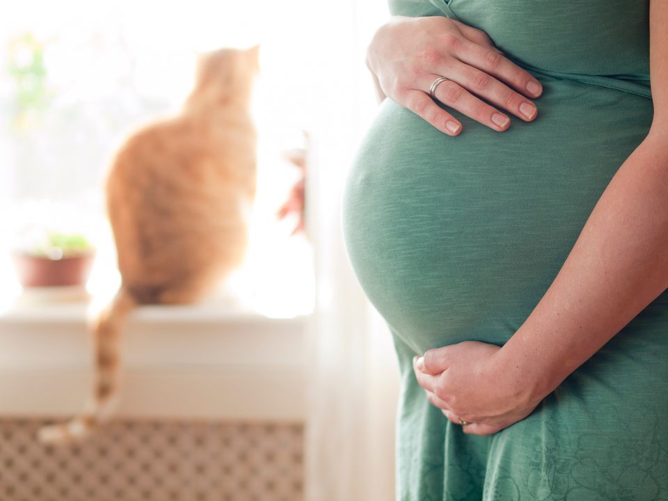 Schwangere steht neben Katze