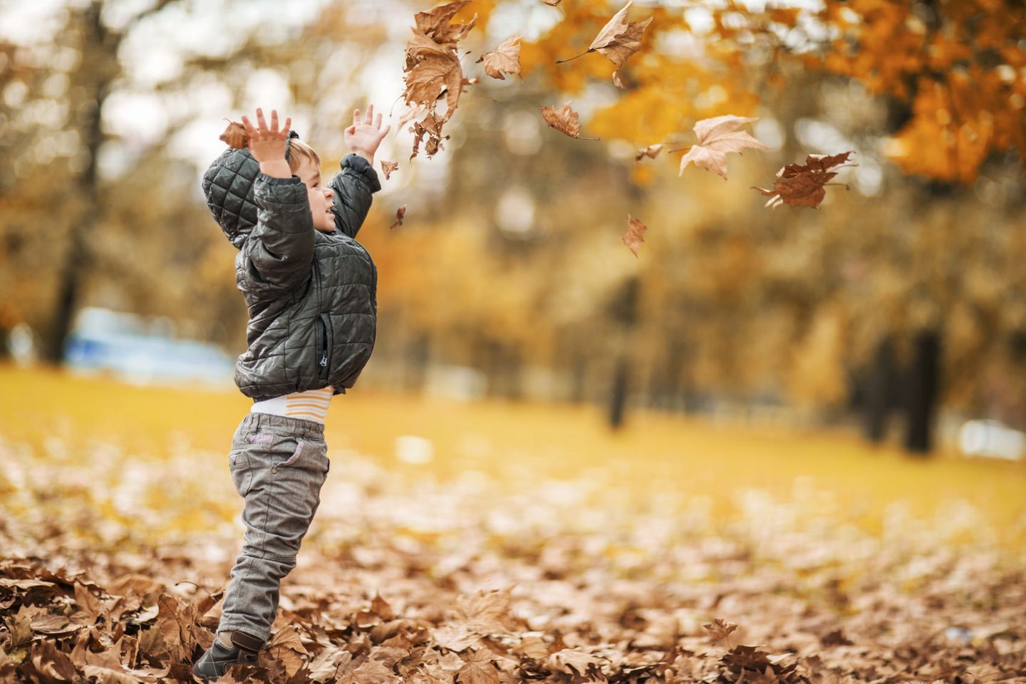 Herbst: Kinder, das wird ein toller Herbst!