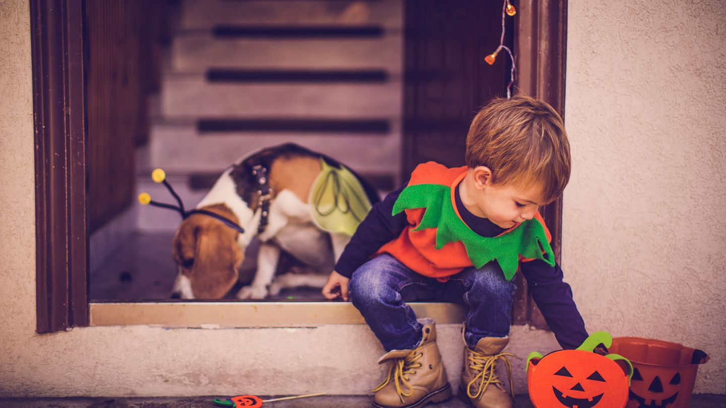 Halloween Alles zur gruseligsten Nacht des Jahres Eltern.de