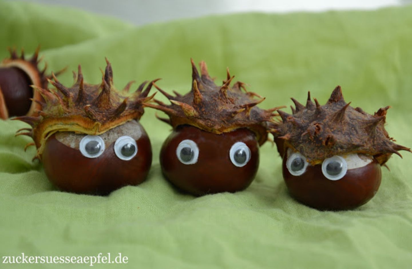 Blog Zuckersuesse Aepfel Kastanienigel Blog Zuckersuesse Aepfel Kastanienigel