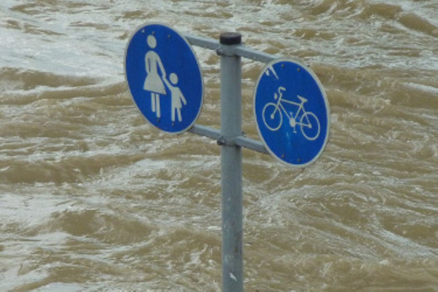Kinderalltag: Regen? Kinder lieben Regen!