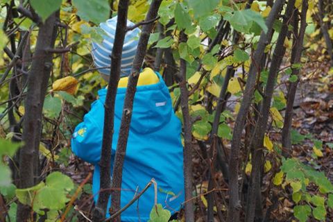 Blog Küstenkidsunterwegs Herbstaktivitäten
