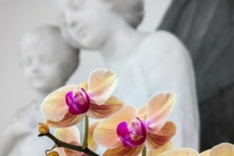 Blog Herzkind-Mama Keine Taufe