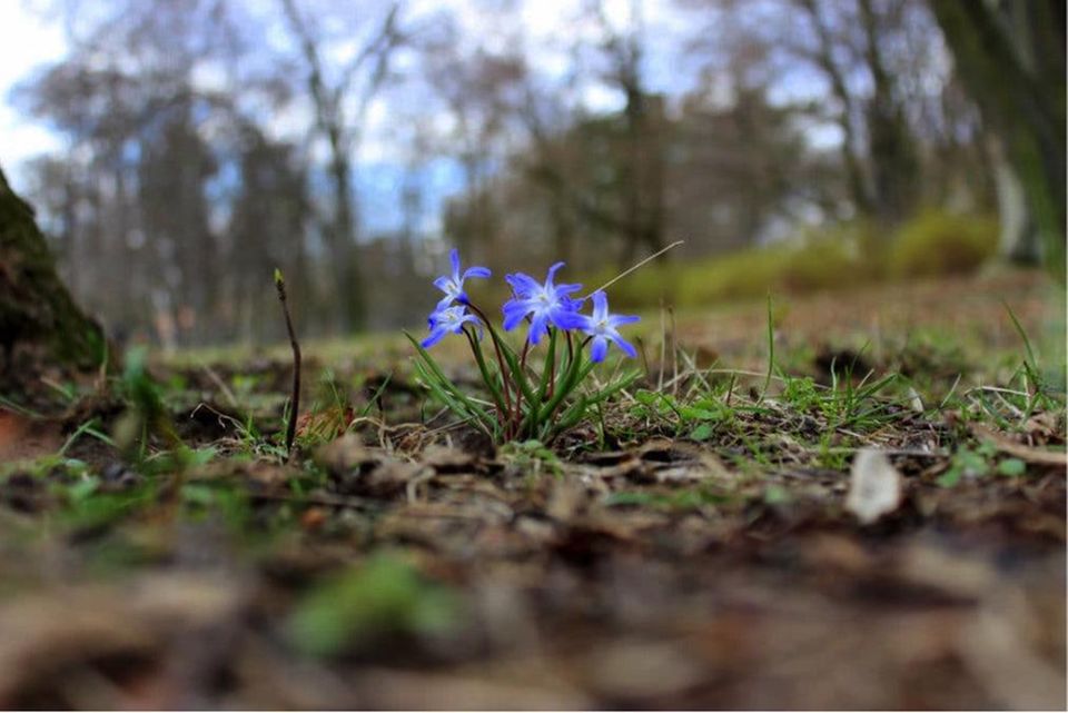 Blog Rubbelbatz Natur erleben