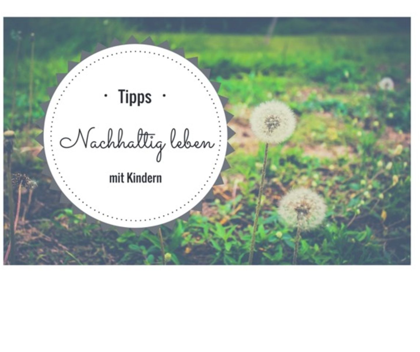 Blog Heute ist Musik Ökologisch Leben Blog Heute ist Musik Ökologisch Leben