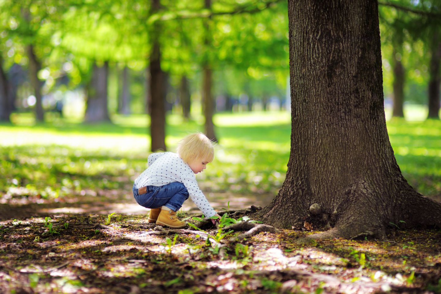 Kleines Mädchen spielt mit Erde im Park