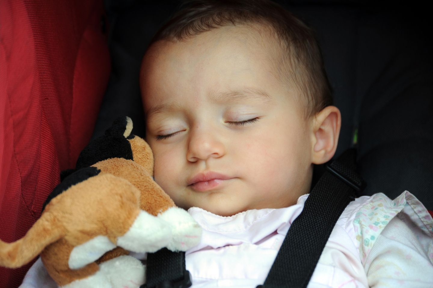 Säugling mit Kuscheltier im Autositz