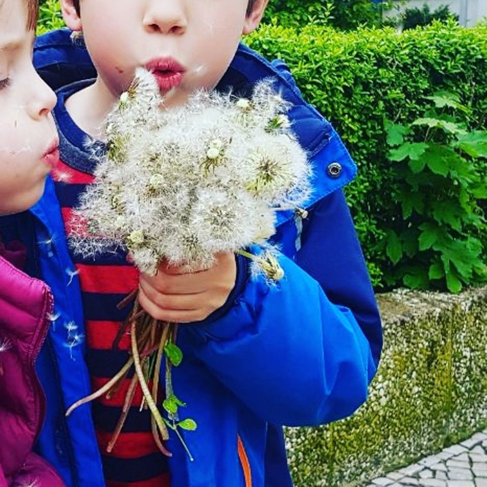 Blog Frau Mutter Muttertagswunsch