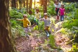 10 Geheimtipps für einen entspannten Urlaub:  Kinder laufen durch einen Wald