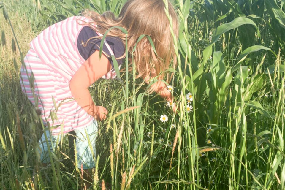 Blog JesSi Ca feierSun.de !0 Dinge, die wir von Kindern lernen