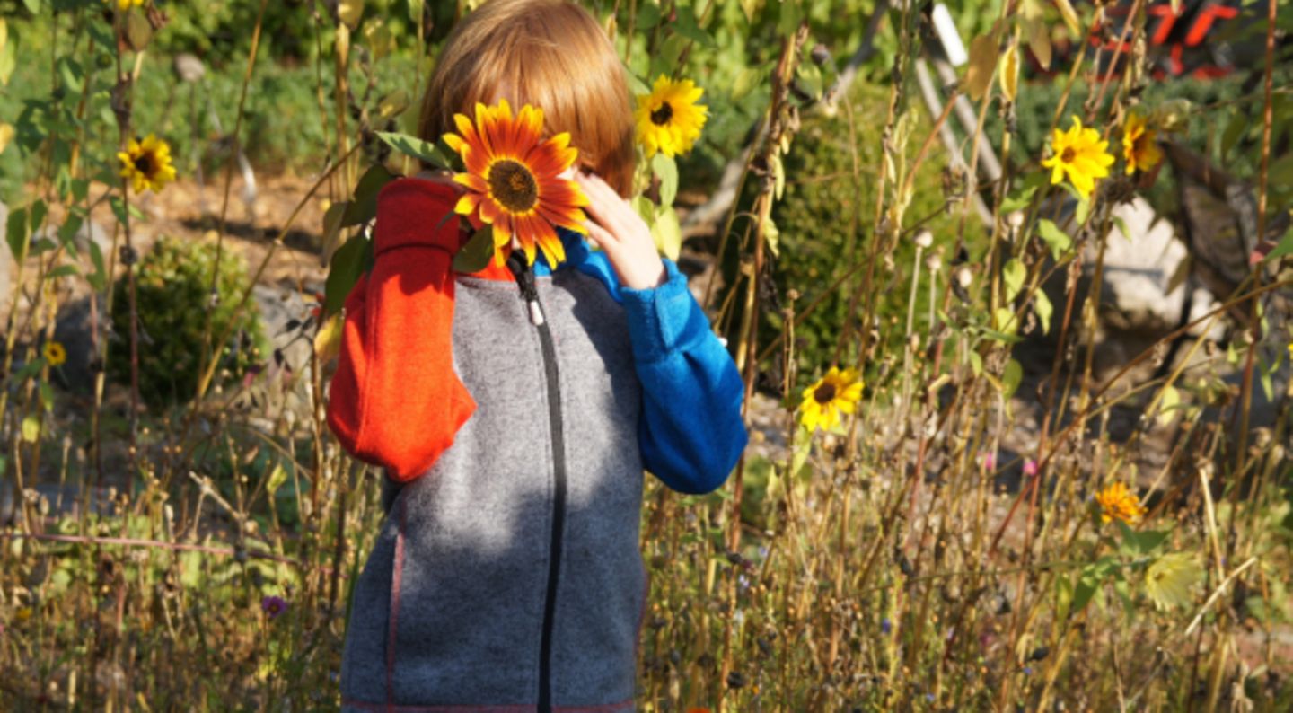 Blog Eine ganz normale Mama Familienpolitik Blog Eine ganz normale Mama Familienpolitik