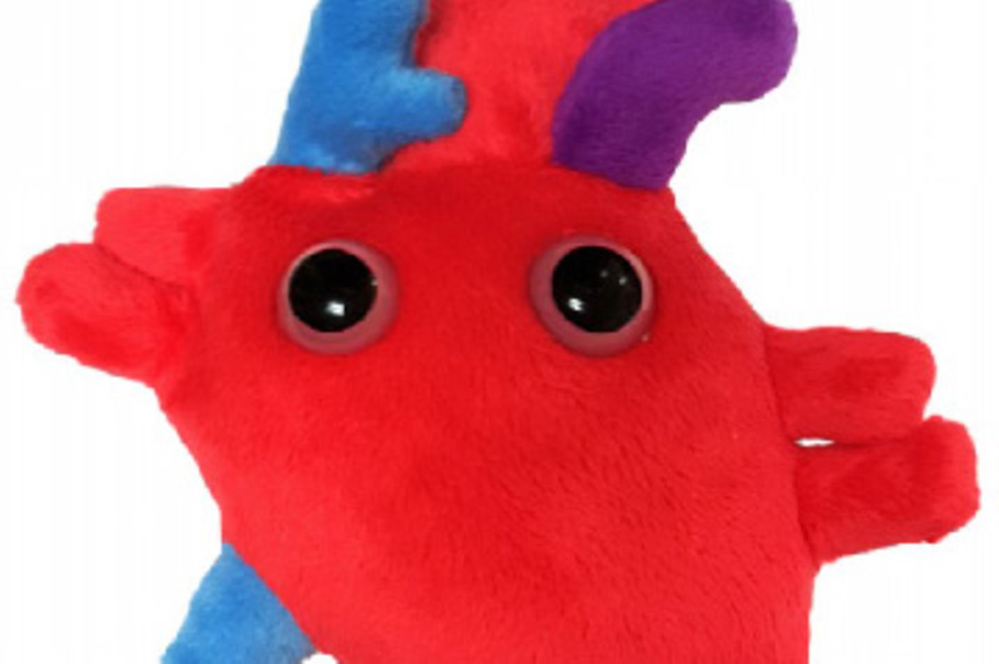 Und wieder ein Fall für den Biologieunterricht: das Herz. So sieht es ungefähr aus, liebe Kinder. Natürlich ohne die Augen.