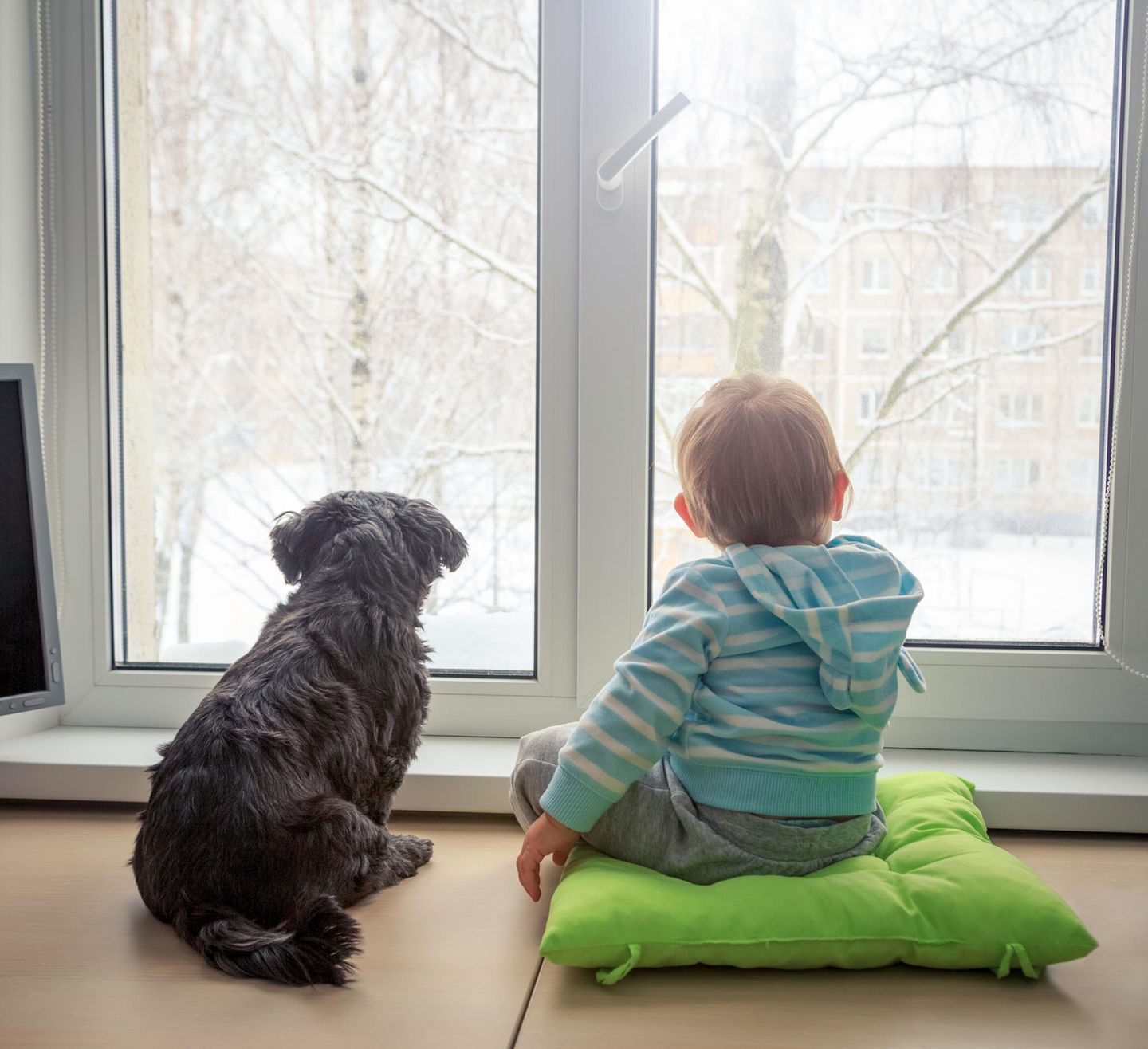 Blog Herzkind-Mama Welpen und Babys Blog Herzkind-Mama Welpen und Babys