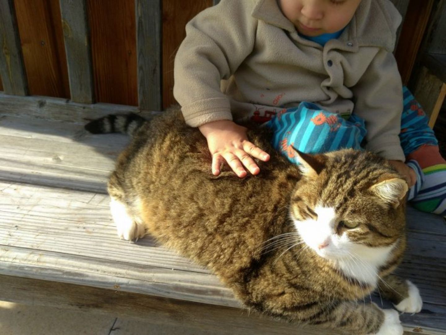 Rubbelbatz: Tiere für Kleinkinder - Warum das eine gute Idee ist Rubbelbatz: Tiere für Kleinkinder - Warum das eine gute Idee ist