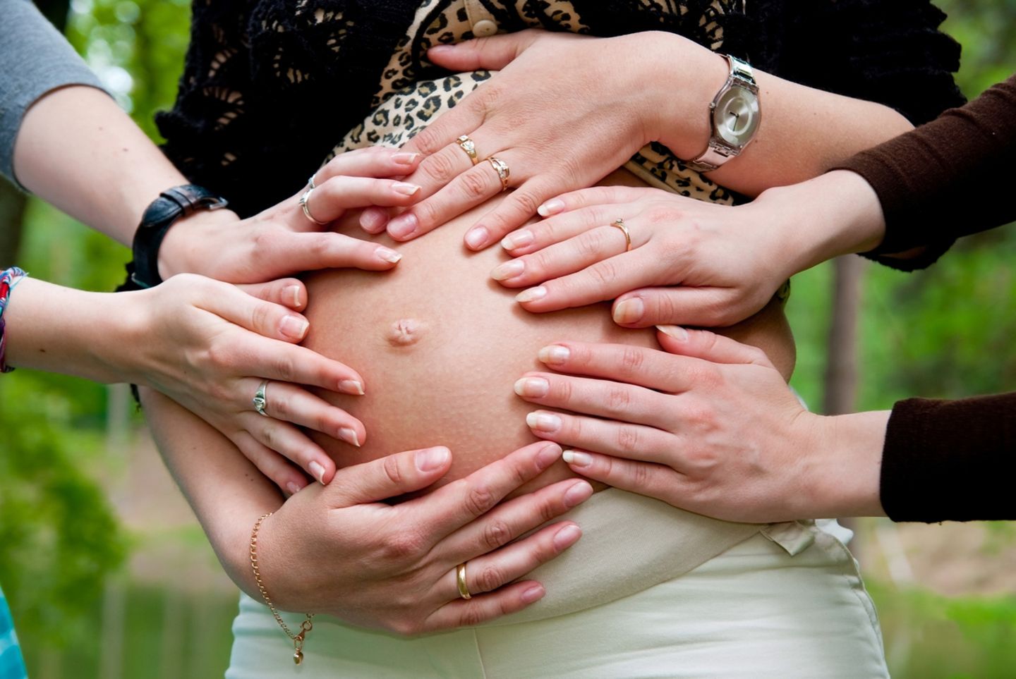 Blog der kleine Brandenbuerger Bauch anfassen Blog der kleine Brandenbuerger Bauch anfassen