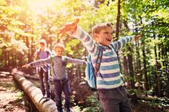 Breite, endlos lange Wege? Laaangweilig! Kinder lieben kurven- und abwechslungsreiche Strecken – am liebsten schön schmal und kurvig. Denn hinter der nächsten Biegung lauert bestimmt etwas Spannendes! Oder kleine Klettermöglichkeiten zwischendurch. Echter Klassiker mit Leuchtende-Augen-Potenzial: Bäche mit kleinen Holzbrücken. Ein Riesenspaß. Für alle!