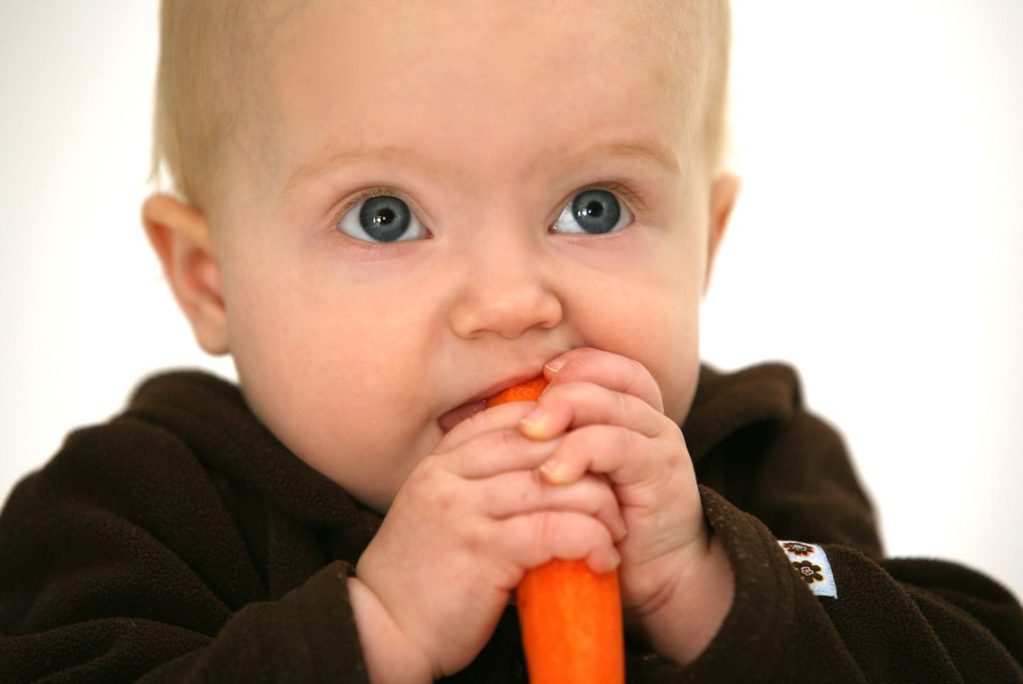Blog der kleine Brandenburger Beikost Blog der kleine Brandenburger Beikost