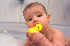 Alles in den Mund: Baby lutscht an Badeente